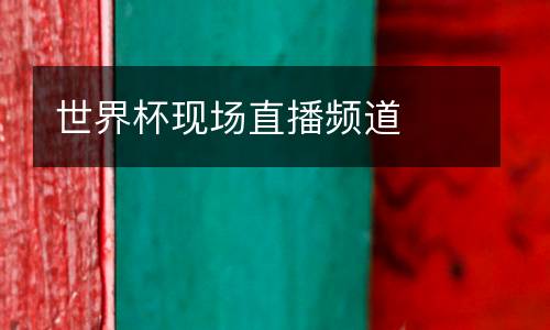 世界杯现场直播频道